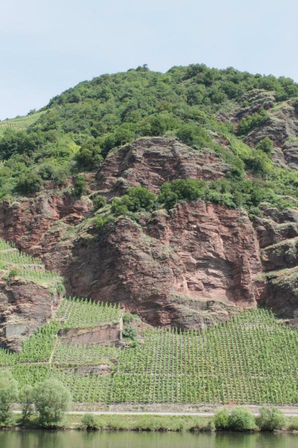 Ferienhaus Moselblick Mit Kostenfreien Oepnv-Ticket Ürzig Dış mekan fotoğraf