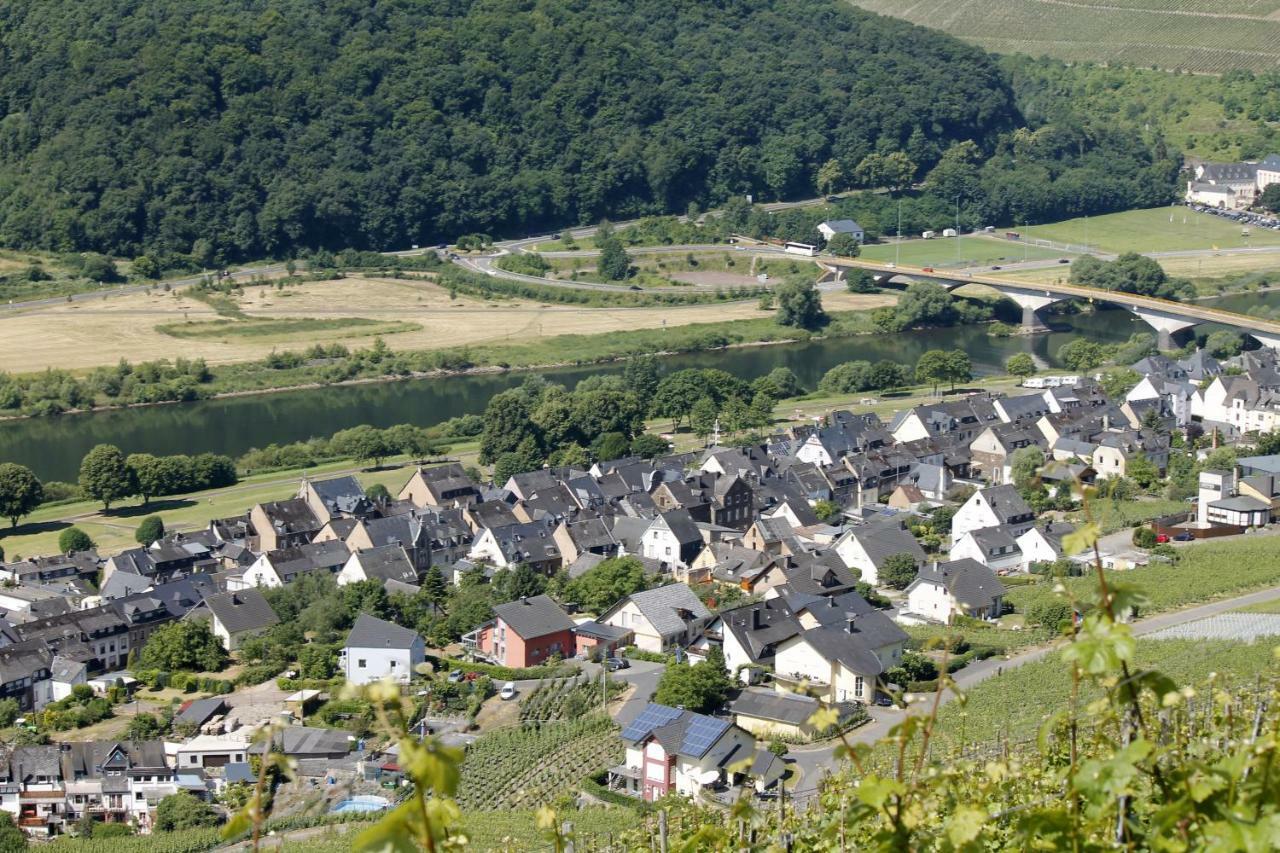 Ferienhaus Moselblick Mit Kostenfreien Oepnv-Ticket Ürzig Dış mekan fotoğraf