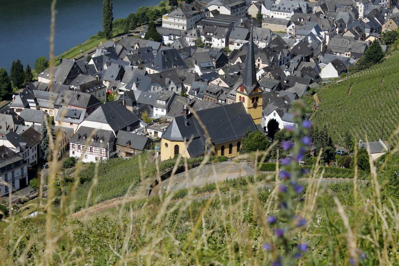Ferienhaus Moselblick Mit Kostenfreien Oepnv-Ticket Ürzig Dış mekan fotoğraf